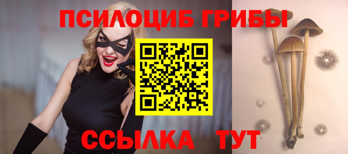 Псилоцибиновые грибы мицелий  Вход с VPN  Псилоцибиновые грибы Magic Shrooms  Михайловск 